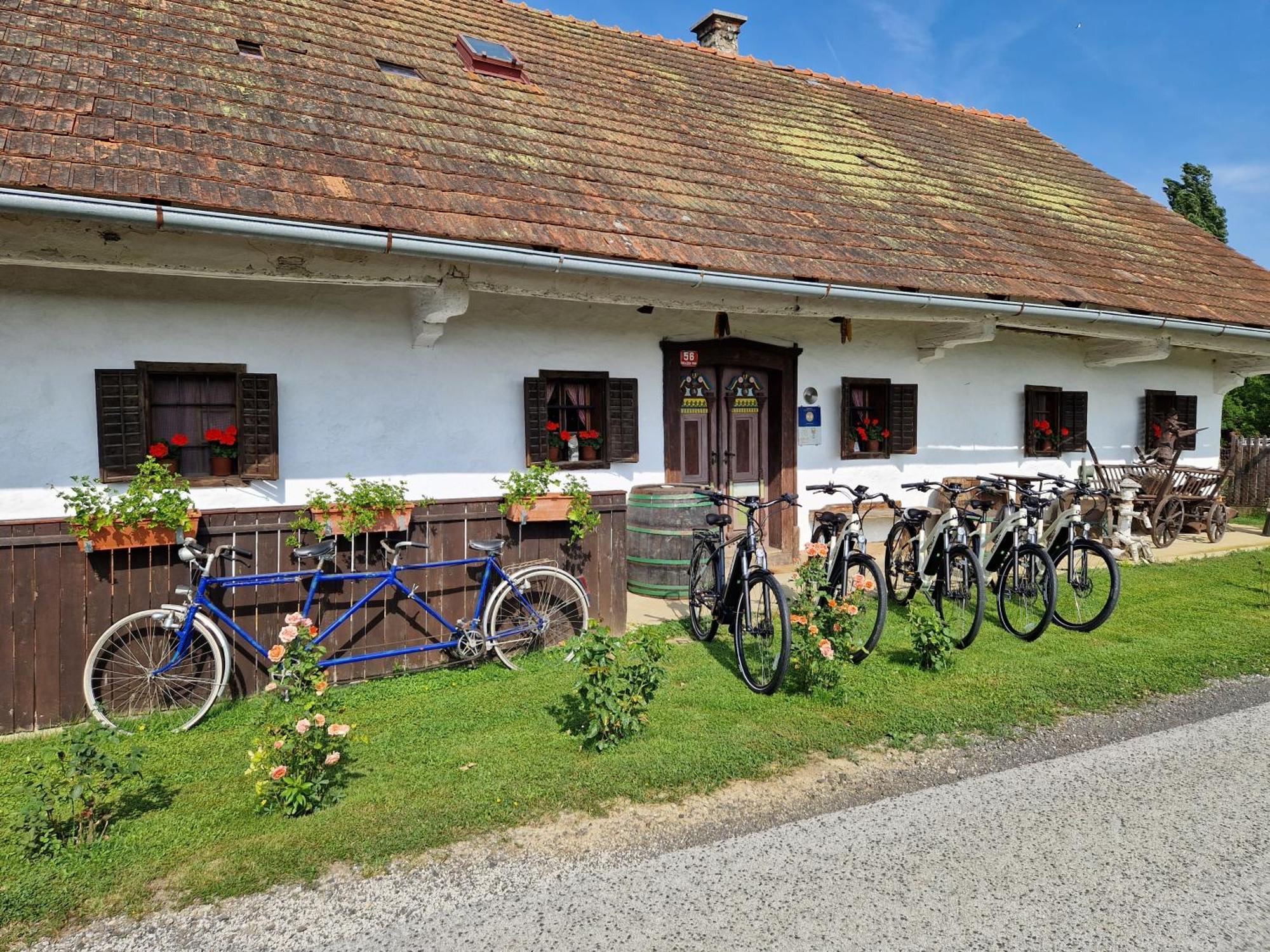 Homestay Kapl Ledinek ภายนอก รูปภาพ