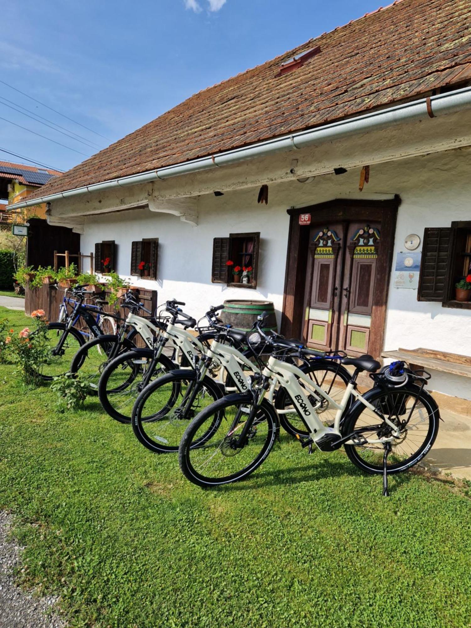 Homestay Kapl Ledinek ภายนอก รูปภาพ