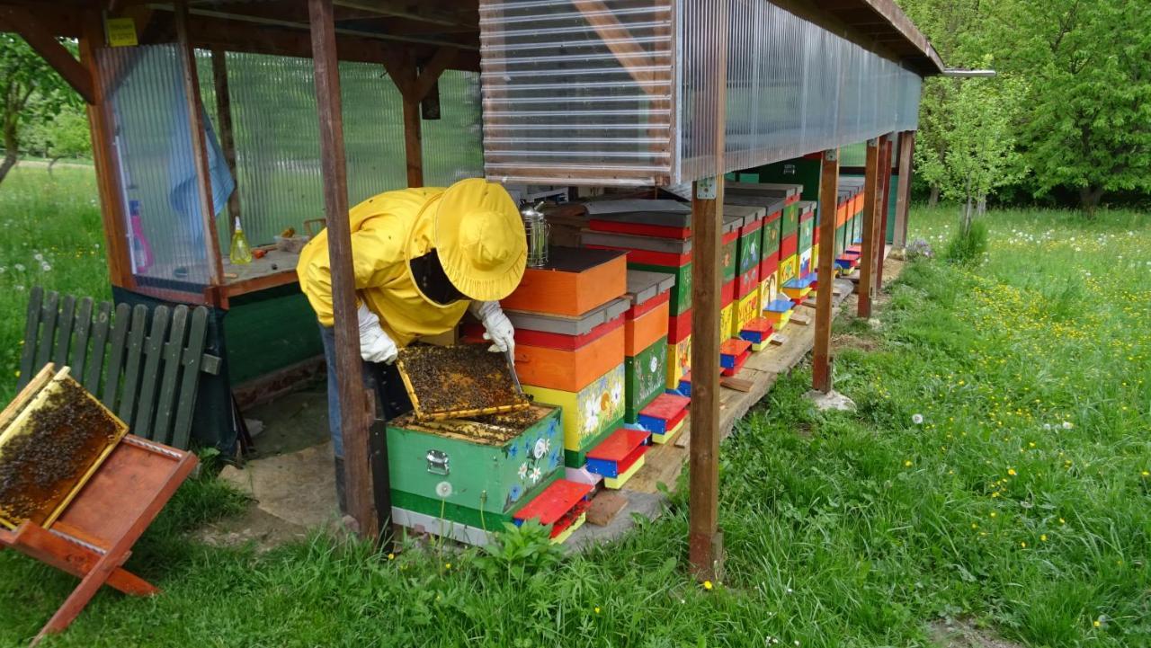 Homestay Kapl Ledinek ภายนอก รูปภาพ