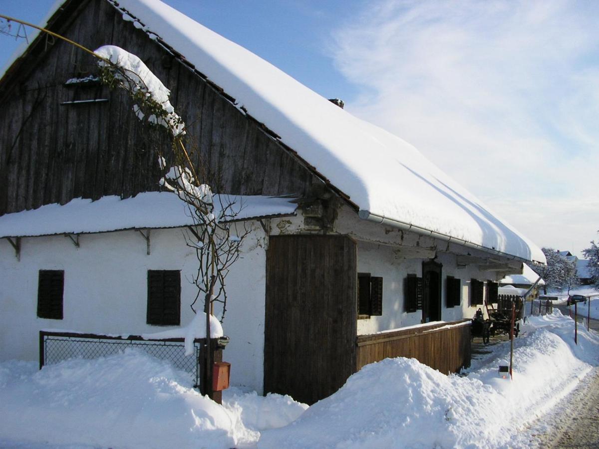 Homestay Kapl Ledinek ภายนอก รูปภาพ